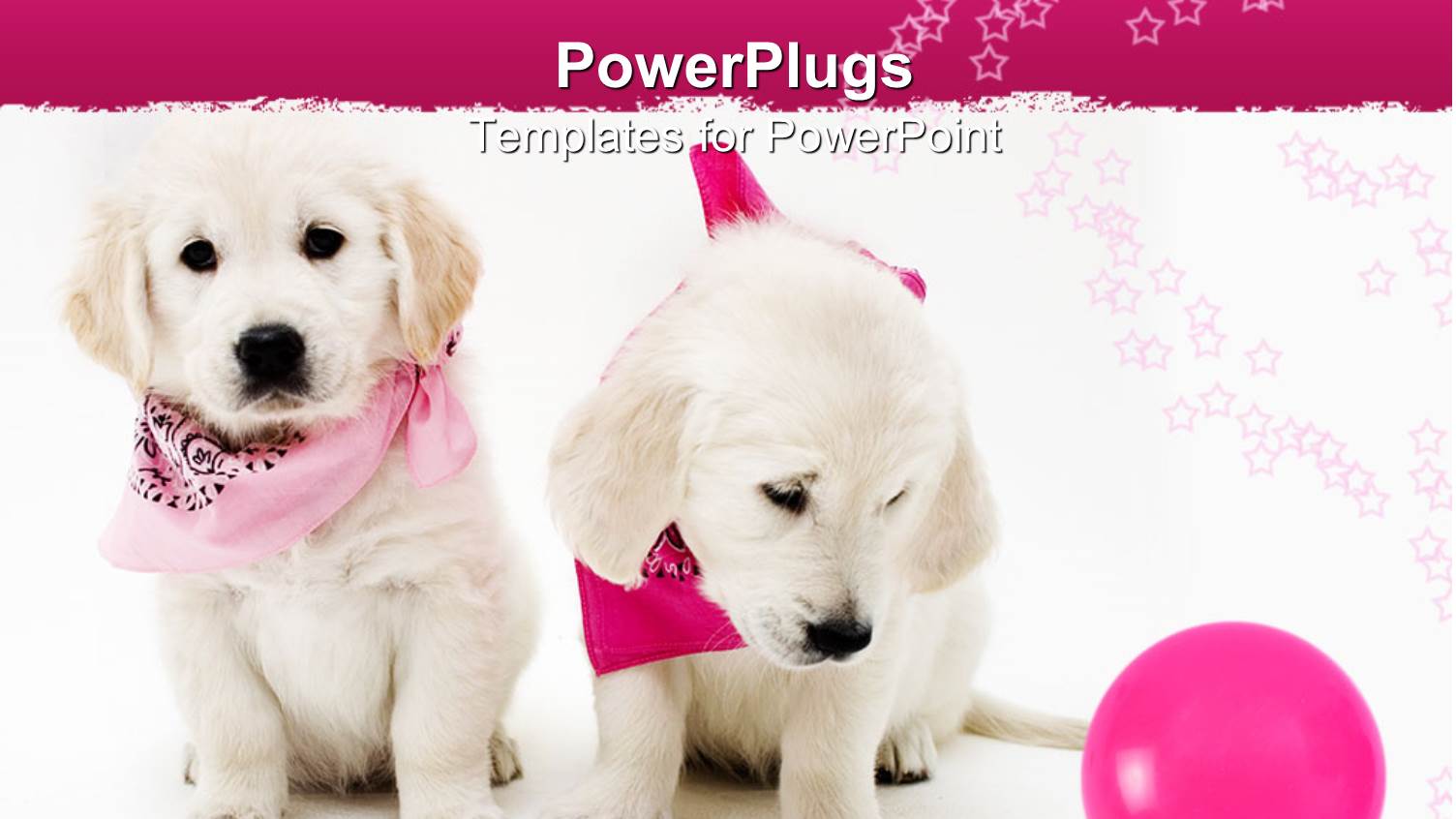 Two Cute Puppies Wearing Bandanna's with a Pink Ball