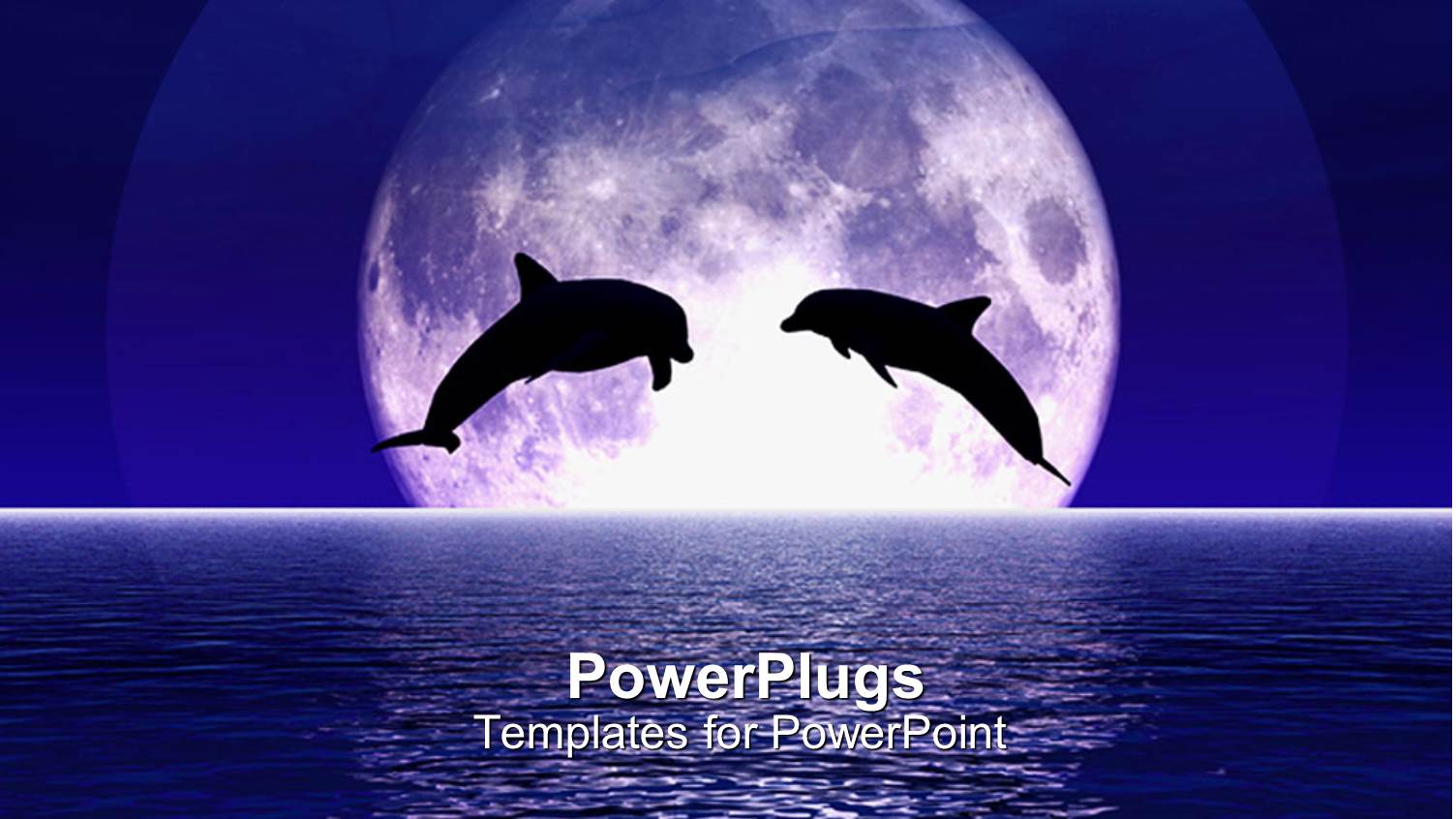 Two Dolphins Jump Out of the Sea Centered in the Moon