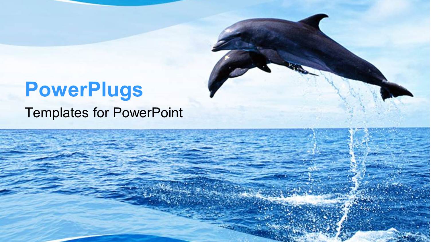 Two Dolphins Jumping Out of Ocean Water, Blue and White Wave Border