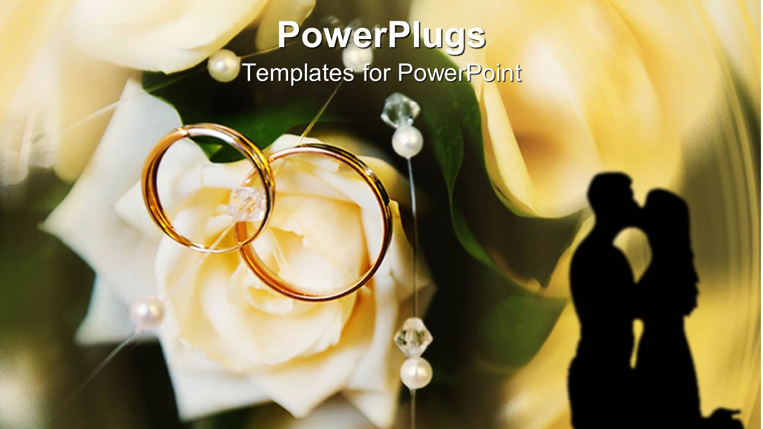 Two Golden Wedding Rings on a White Rose and the Shade of a Kissing Couple on an Abstract Background