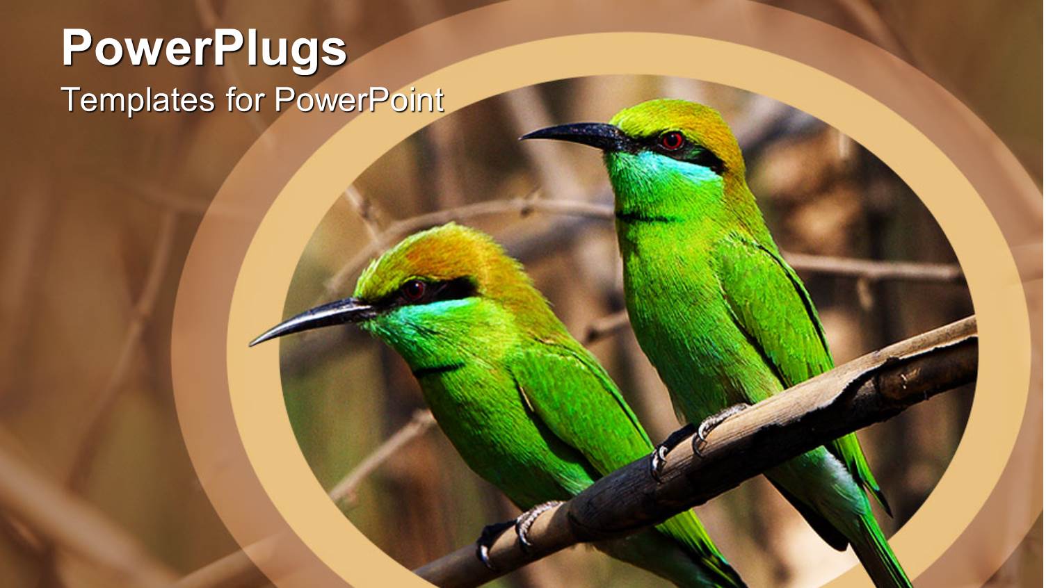 Two Green Birds on a Branch