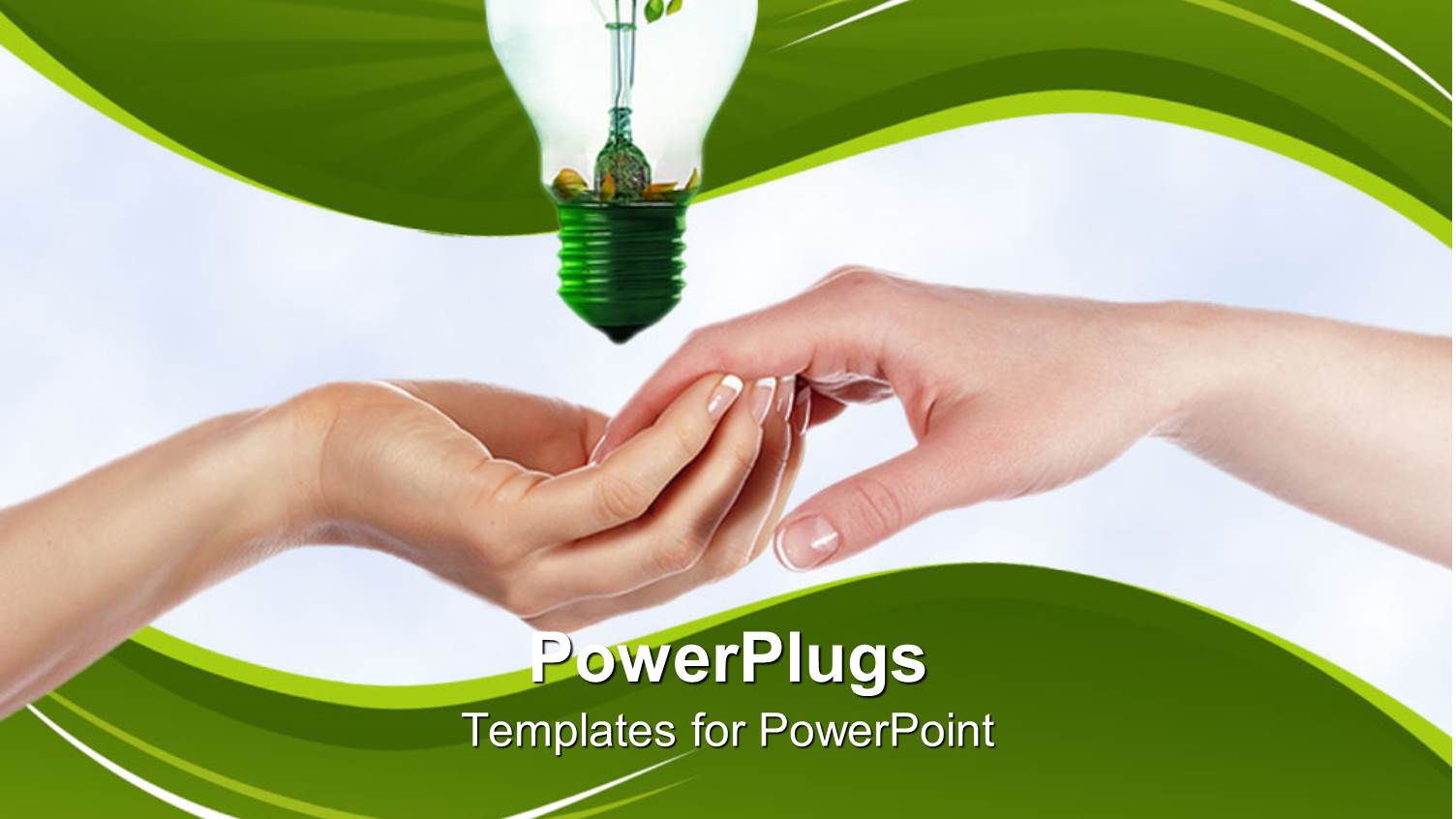 Two Hands Holding Each other with a Bulb Having a Plant Sprout Inside