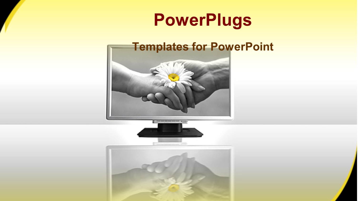 Two Hands Holding a Flower on a Television Screen