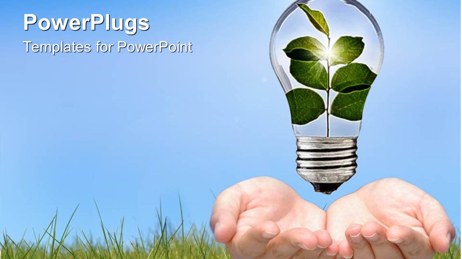 Two Hands Holding a Light Bulb with Stem of Leaves Growin Inside of it Go Green