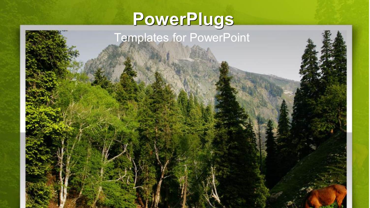 Two Horses Grazing Beside a River Flowing Through Trees on a Mountain with High Mountain in the Background