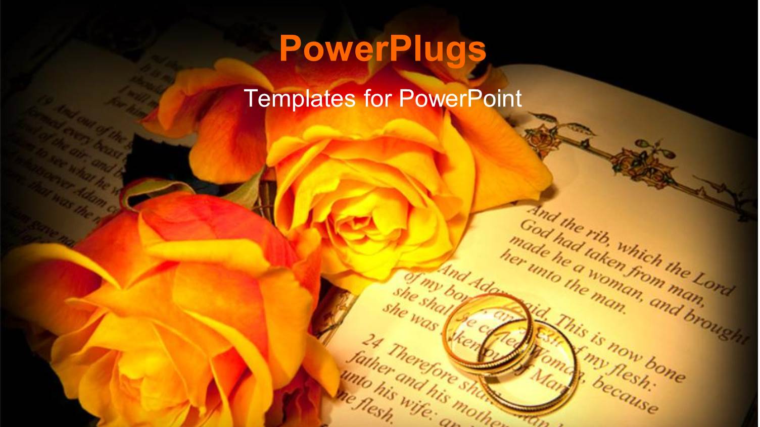 Two large Yellow Flowers and an Open Book with Rings on it