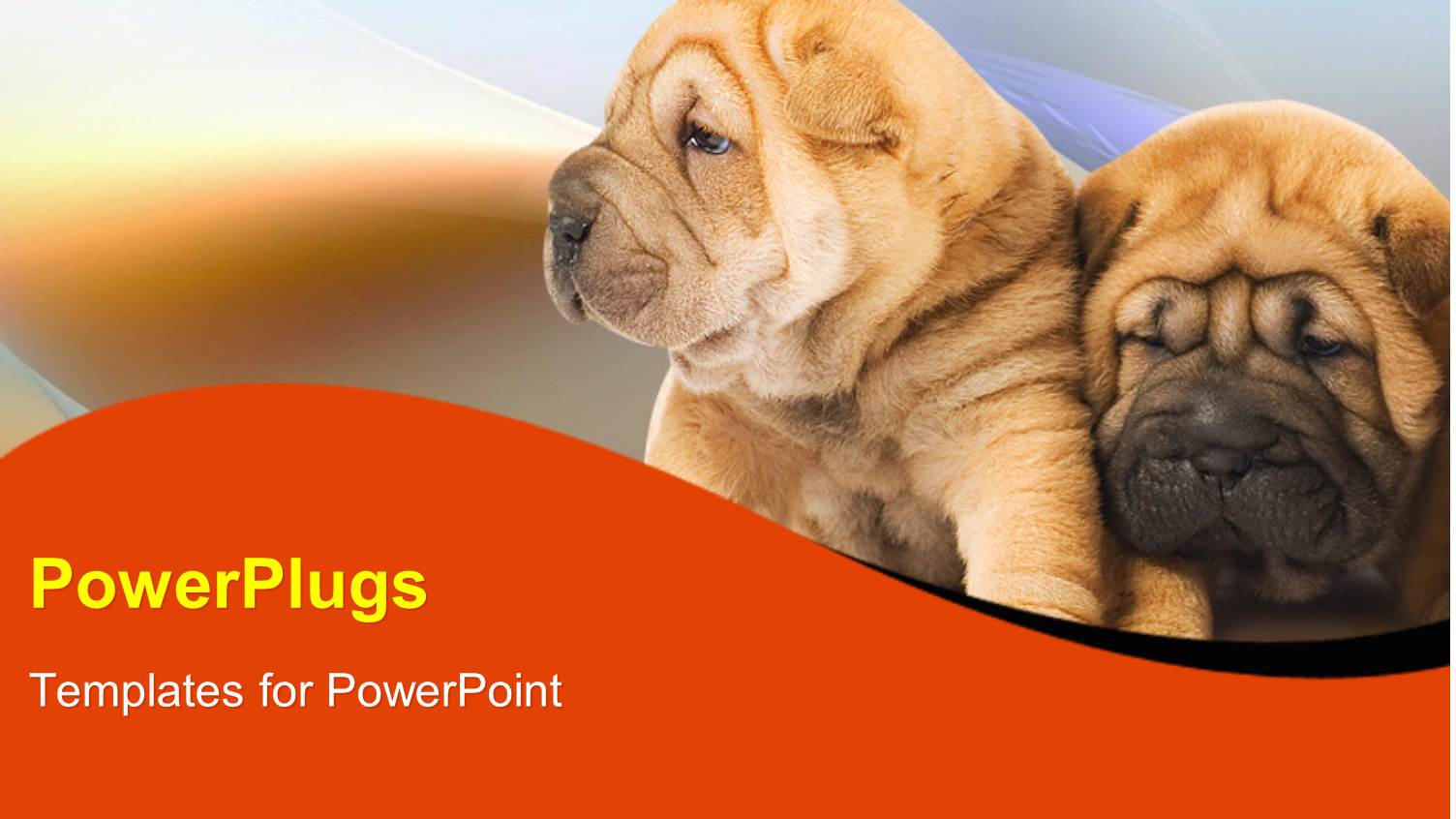 Two Puppies Leaning Against Each other on Blurry Background