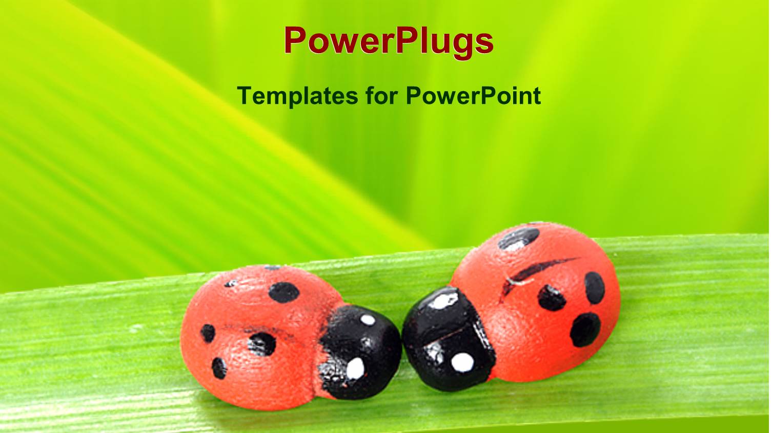 Two Red and Black Ladybugs on Green Leaf, Green Background