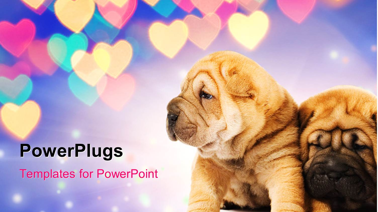 Two Shar-pei Puppies in Love with Beautiful Colored Heart Shapes
