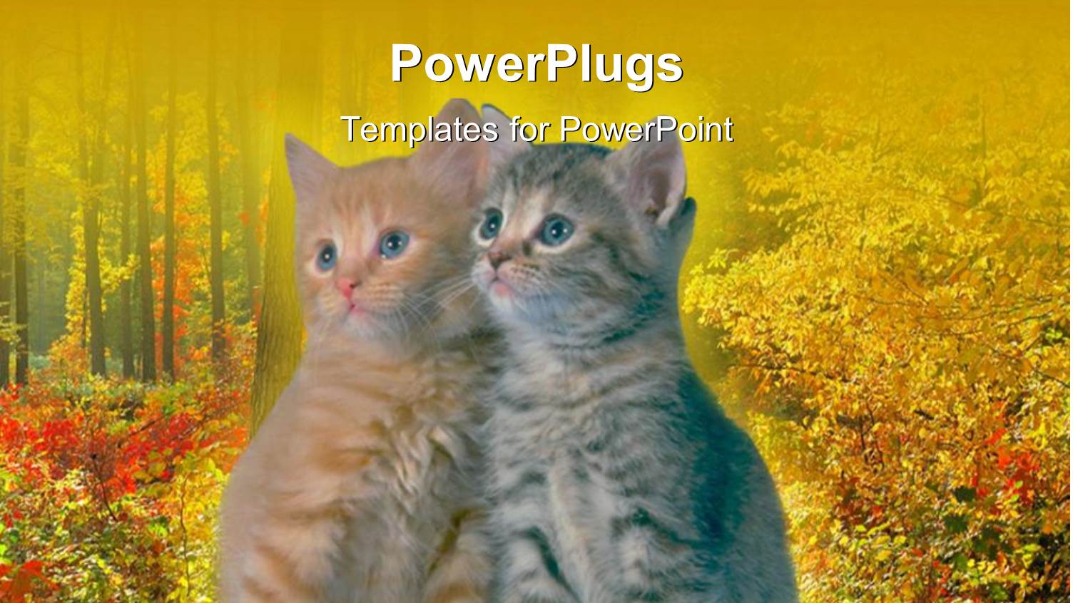 Two Tabby Kittens Leaning on Each other in Front of Autumn Background