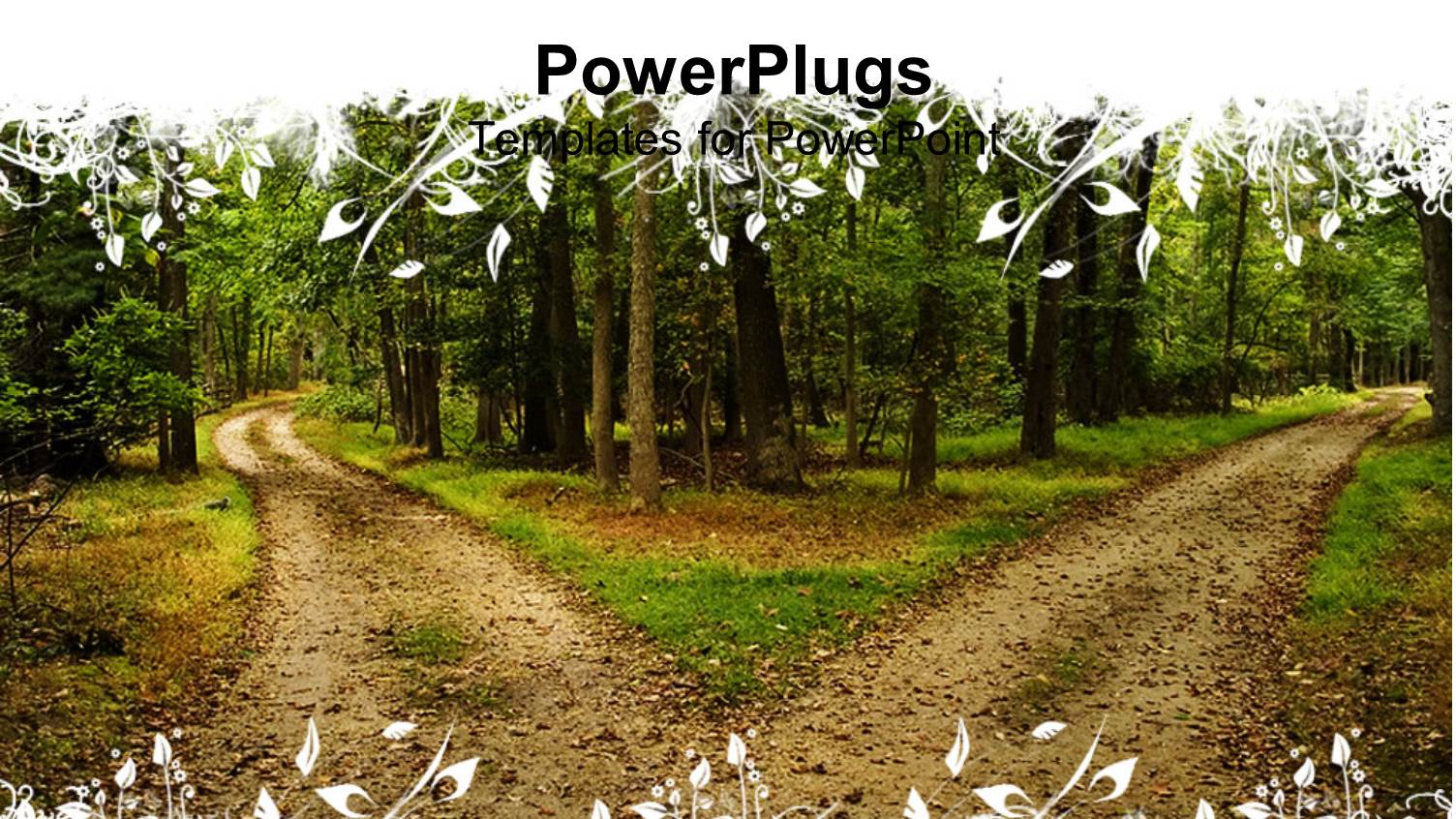 Two Terrain Roads Separated in Different Directions Between Forest Trees, Hiking Trails in Forest with Floral White