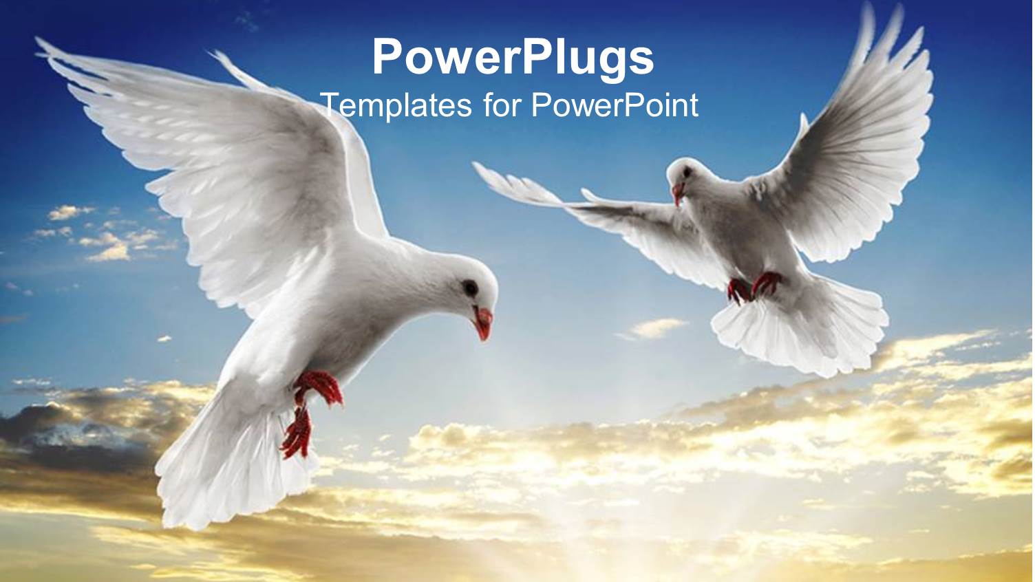 Two White Doves Flying on a Blue Cloud Background