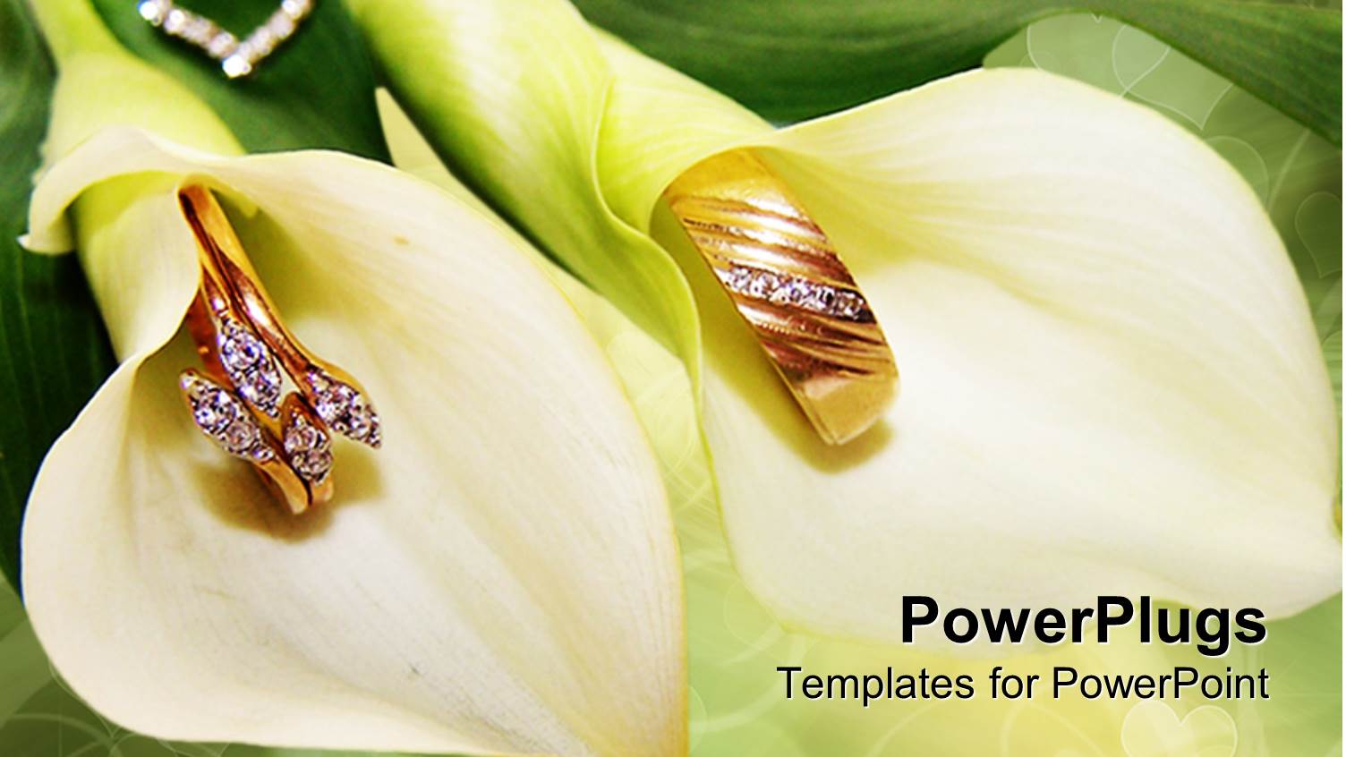 Two White Lilies with Gold and Diamond Crested Rings Inside