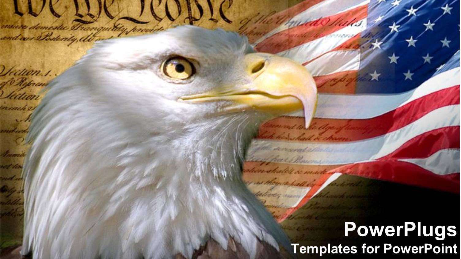 United States Constitution as a Metaphor of Patriotism for American Flag with California Bald Eagle