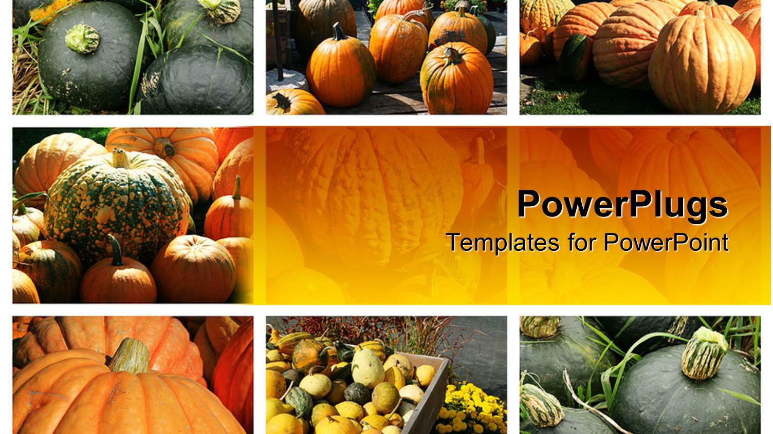 Various Tiles with Different Types of Fruits on a Yellow Background