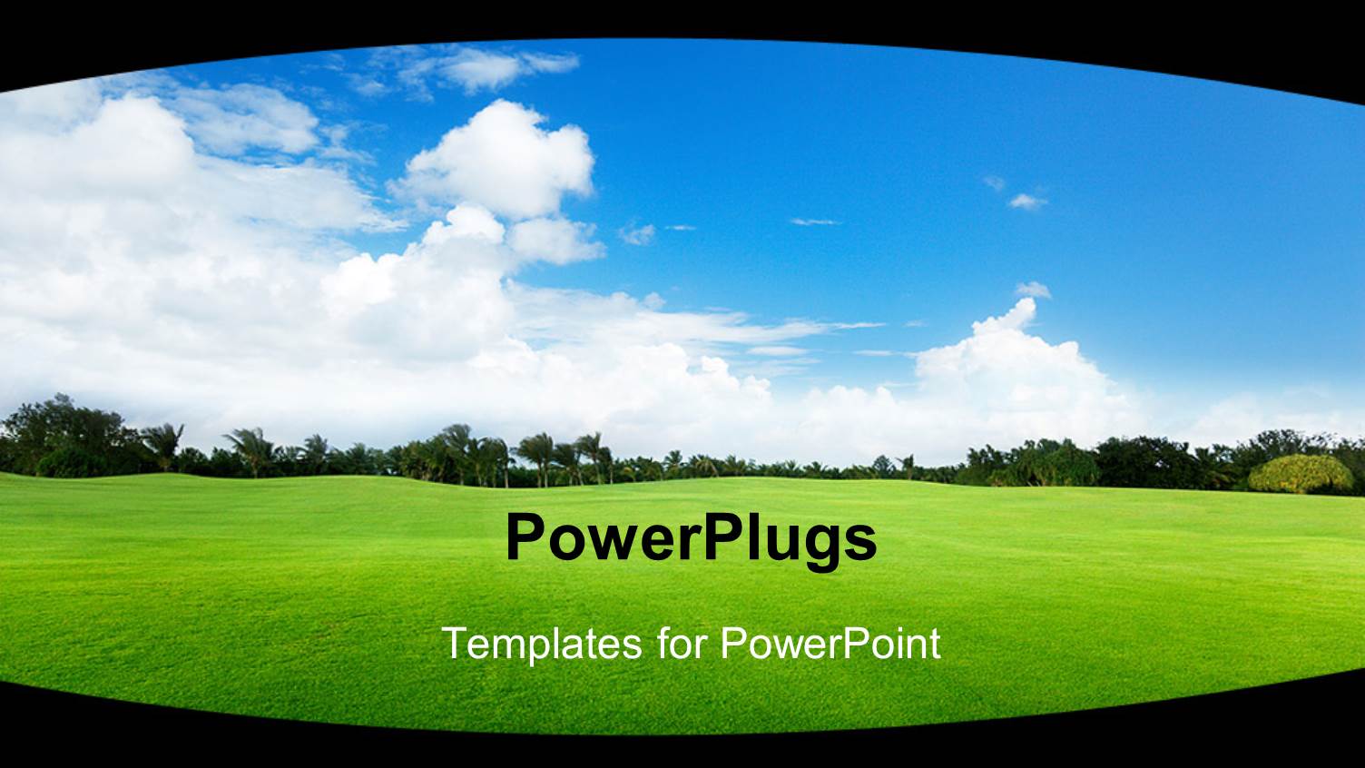 Vast Sunny Landscape on Natural Green Grass with Trees