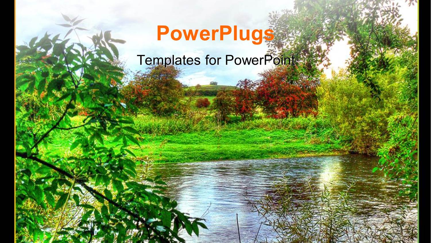 View of a Forest with Lots of Trees and a River