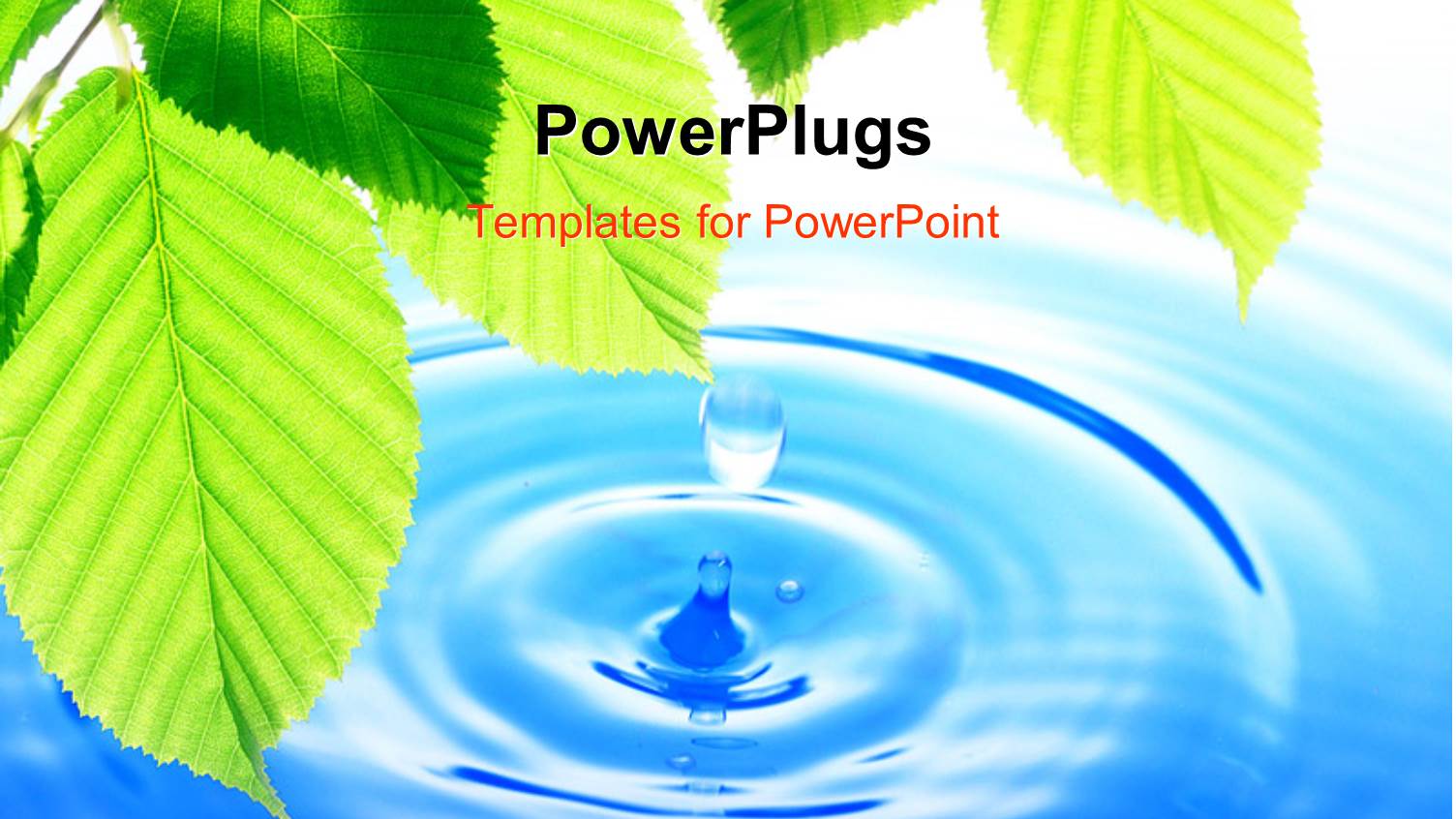 a Water Droplet Falling in a Lake with a Lot of Leaves