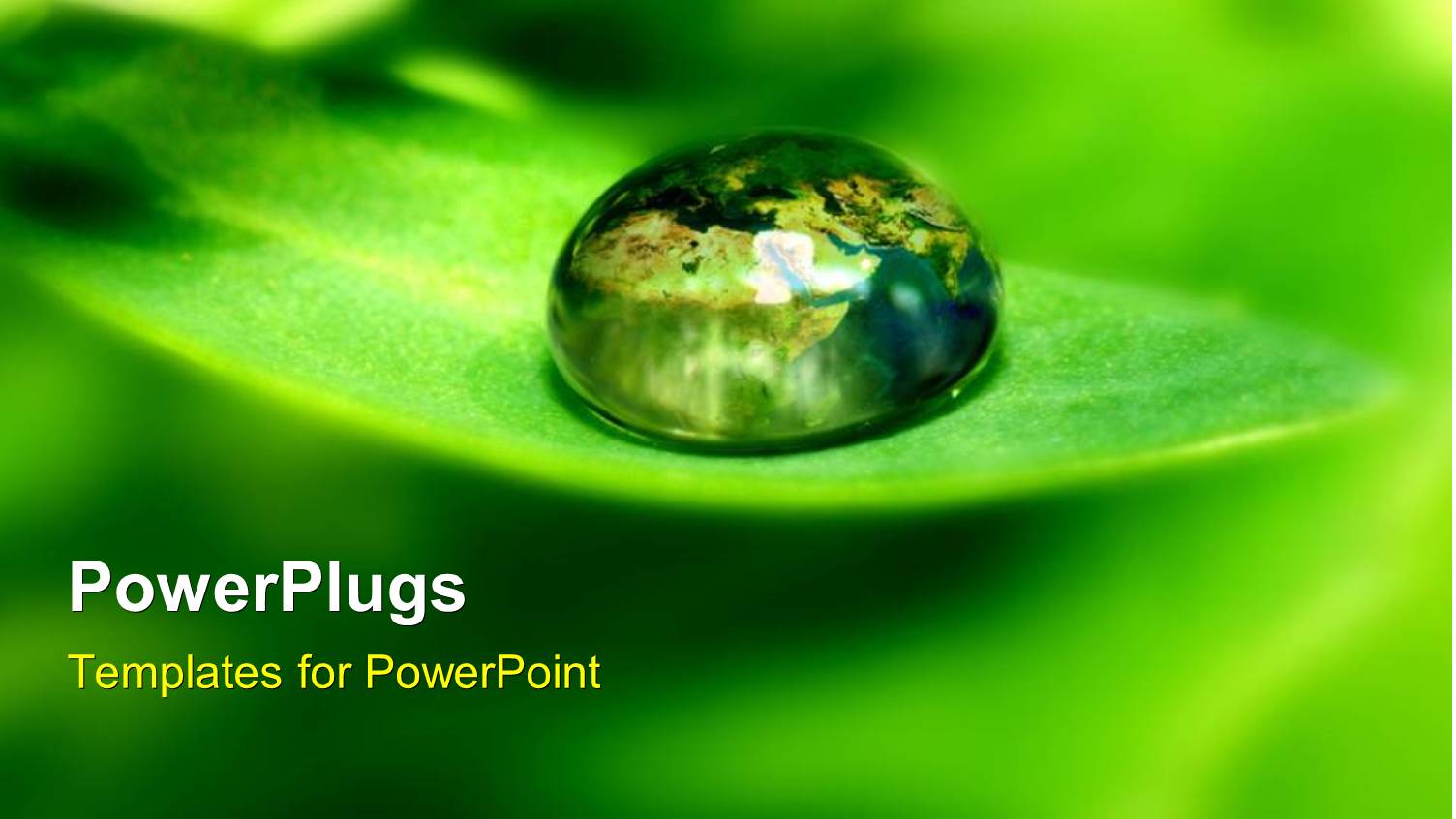 a Water Droplet on the Green Leaf with Blur Background