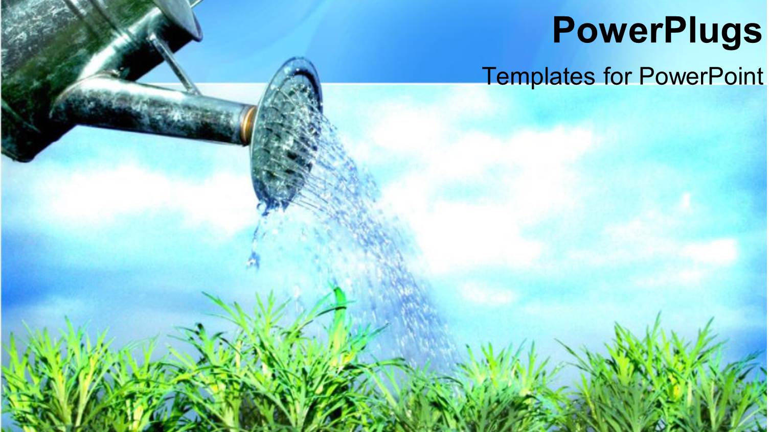 Watering the Garden Plants Growing Blue Skies