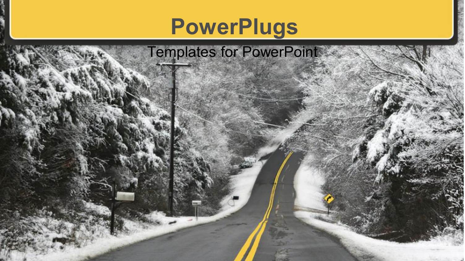 a Way in Between Trees Covered with Ice