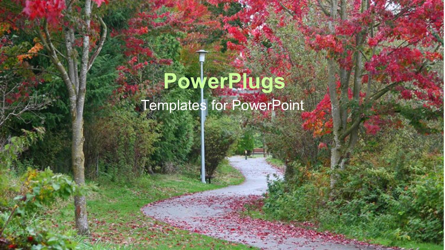 a Way in the Garden with a Number of Trees