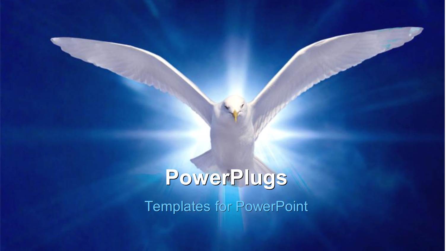 White Bird in Flight on Bright Blue Background