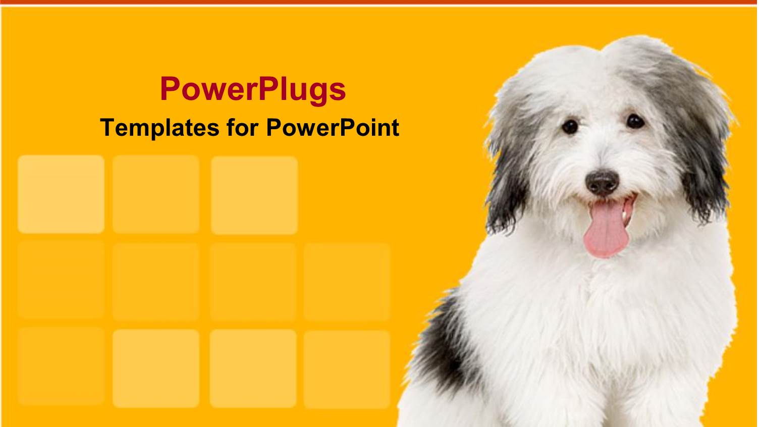 White and Black Dog with Yellow and White Red Stripe Background