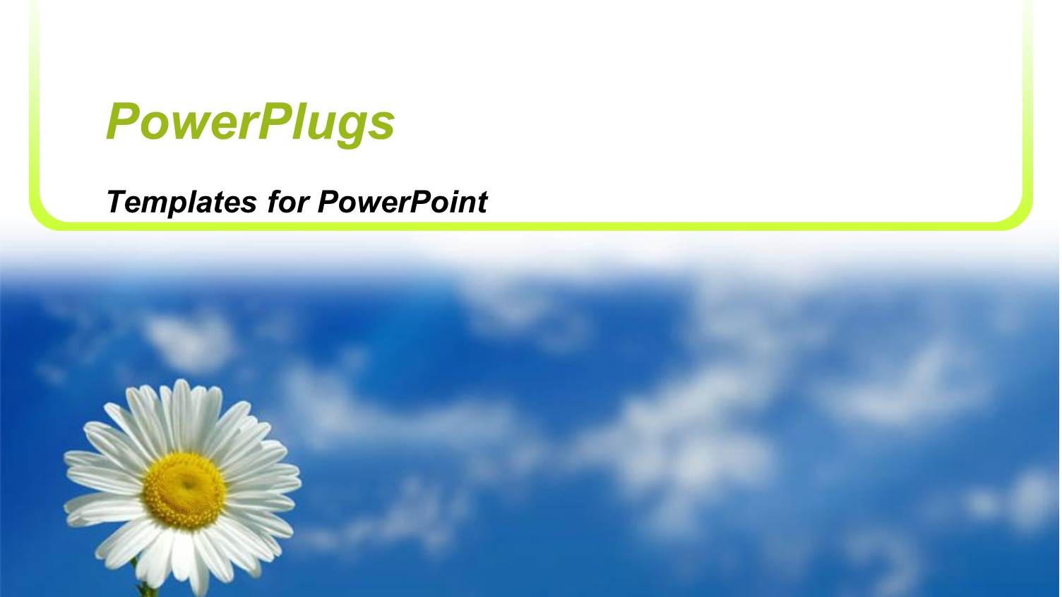 White Daisy Close Up, Blue Sky