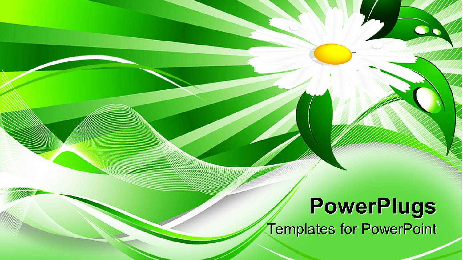 White Flower with Green Leaves in Bright Green Background with Lines