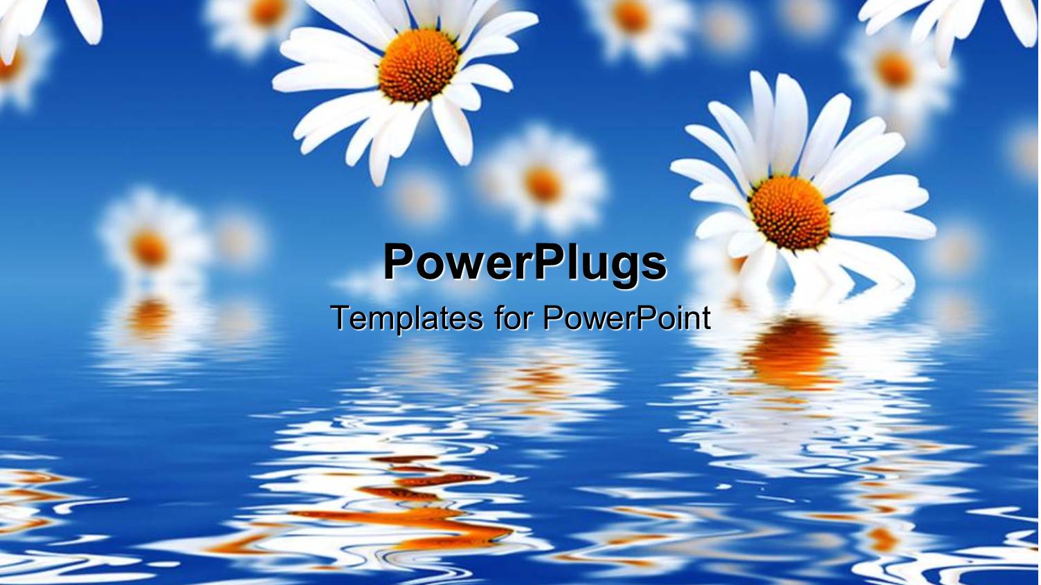 White Flowers Falling from Sky into Water