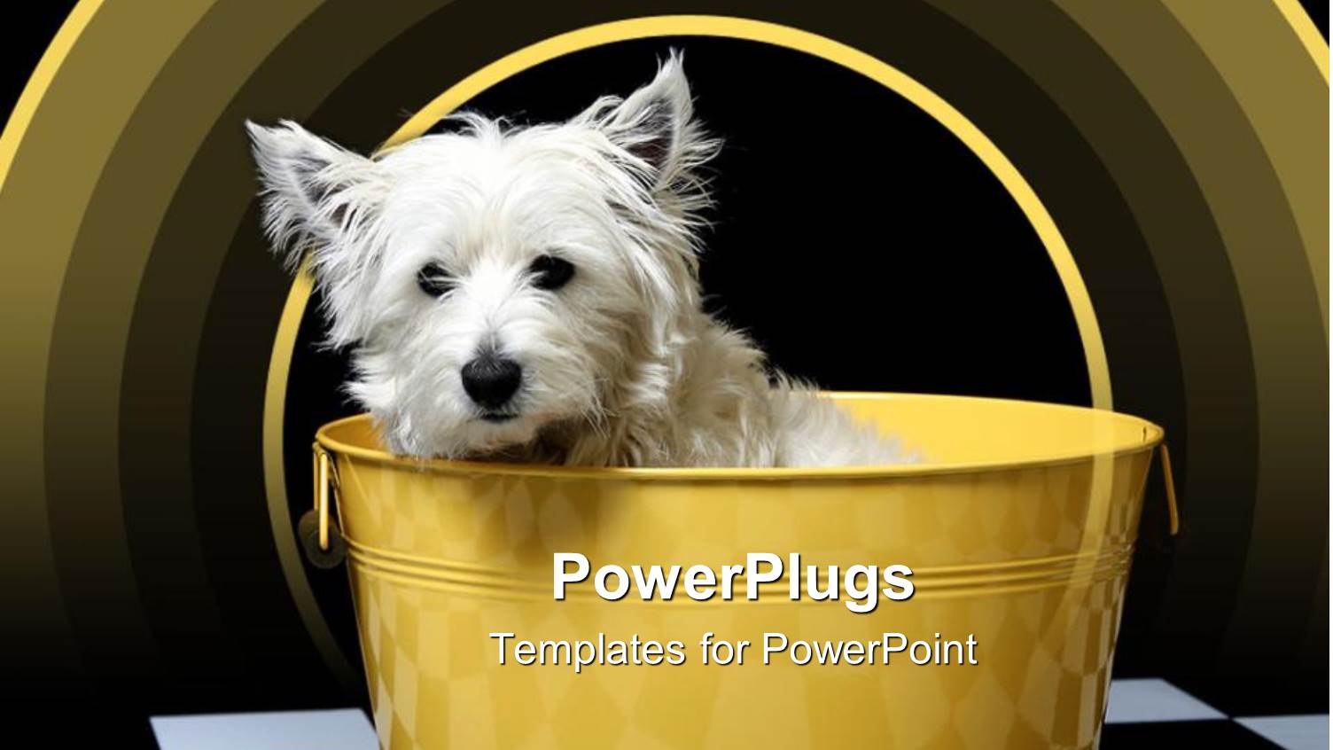 White Highland Terrier Westie Dog in Yellow Bucket, Black and White Checker Floor, Yellow Arches