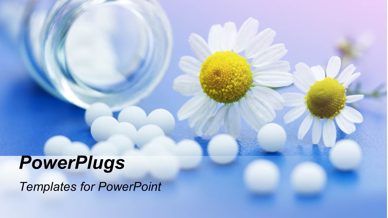 White Medications from Transparent Bottle with Chamomile Flower on Blue Surface