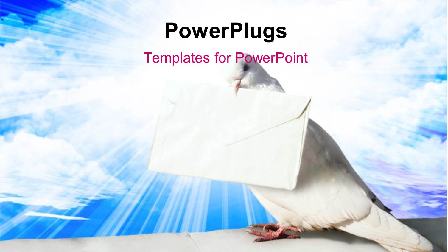 White Pigeon Holding Letter of Peace with Blue Sky