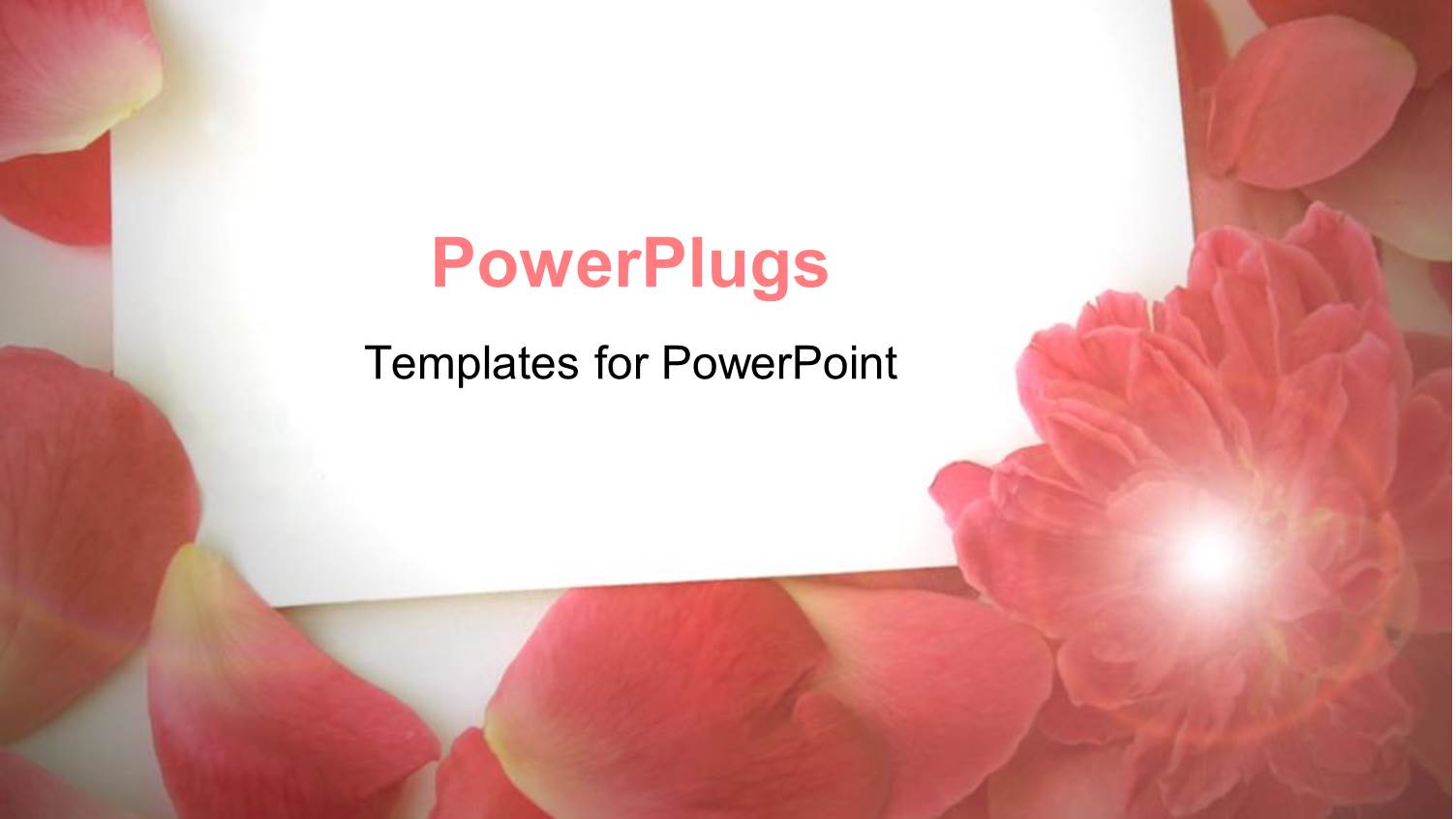 White Plane Blank Card Surrounded by Soft Pink Petals