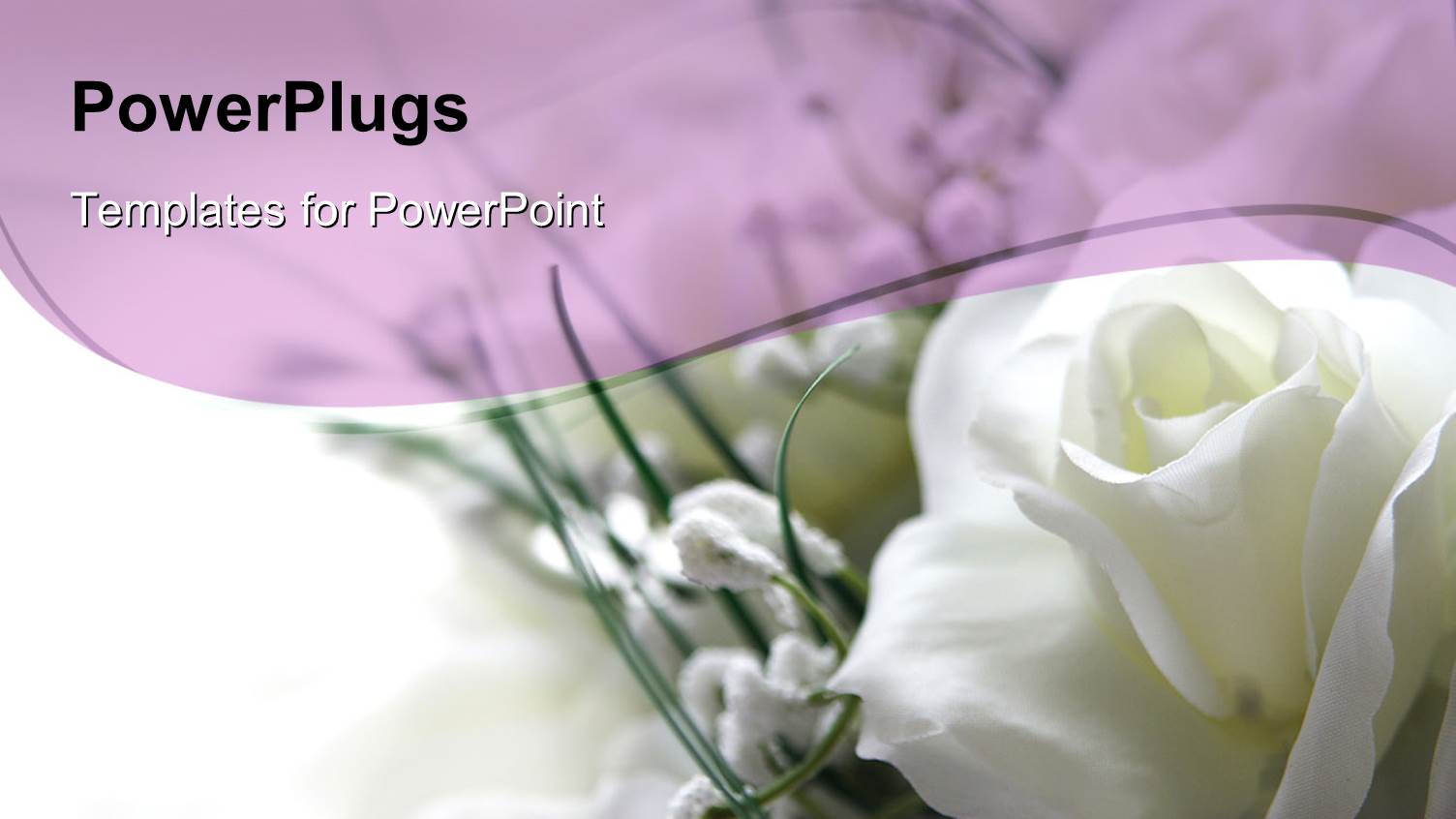 White Rose in the Corner with White and Light Purple Background