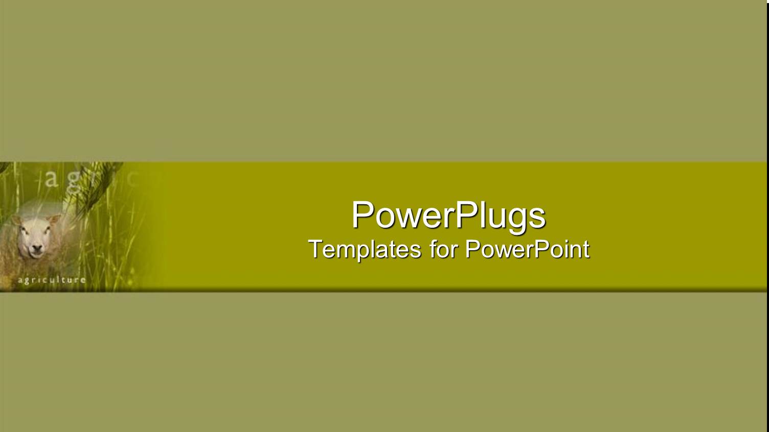 White Sheep in Green Field on Pale Green Background