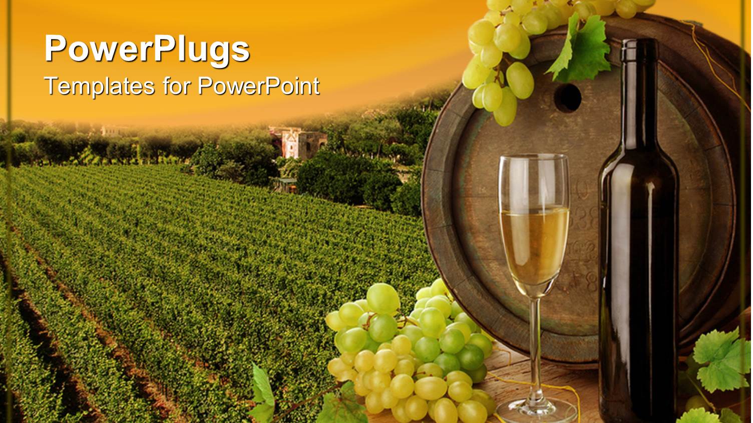 Wine Placed on Table with Old Wine Barrel on the Background of Vineyard and Sunset