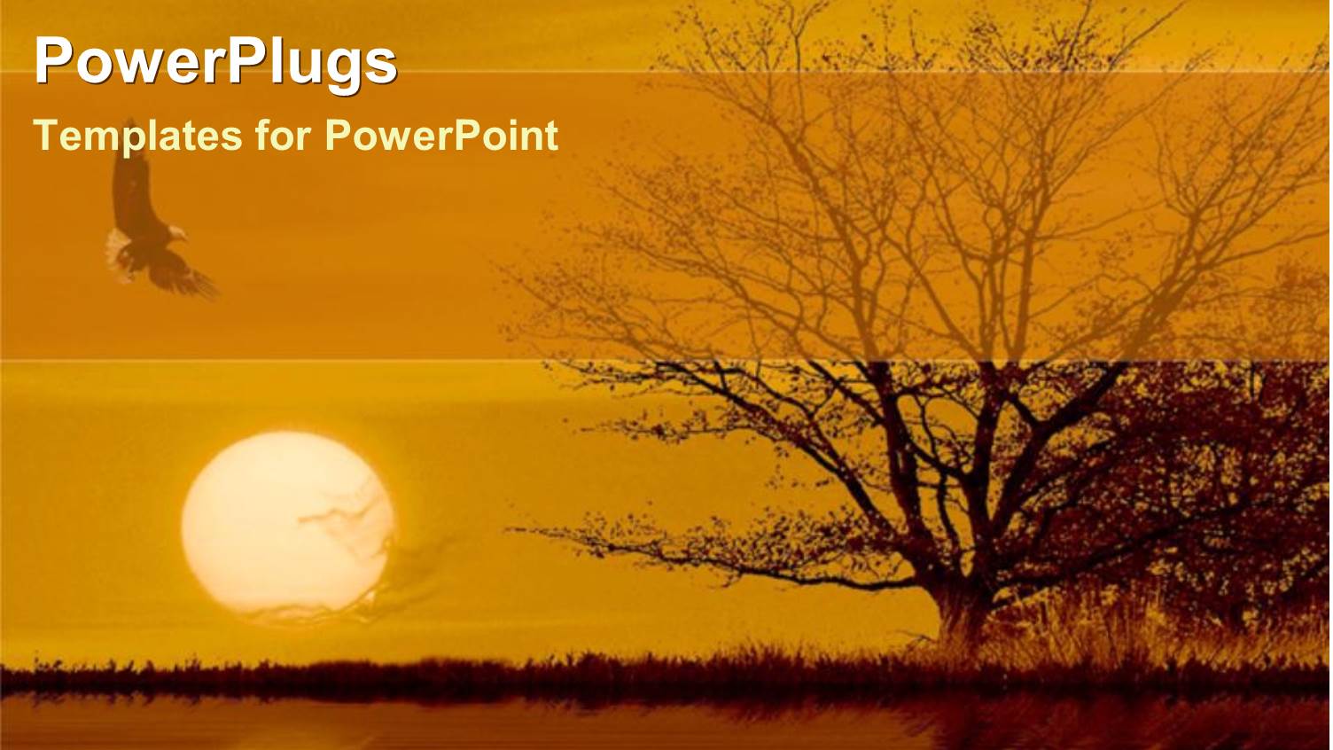 Withered Tree and Eagle with Sunset Over River Surface 