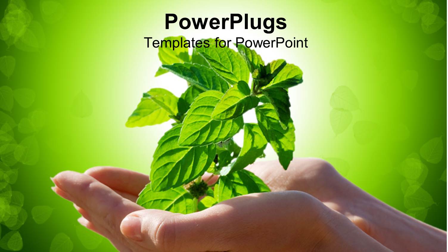 Woman Hand Holding a Plant Symbolizing Nature, Growth and Health on Green Background