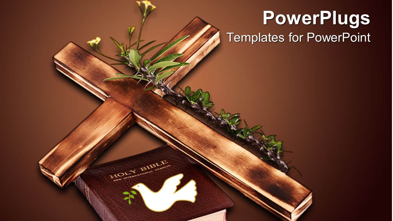 a Wooden Cross with Plants and Holy Bible with Dark Brown Background