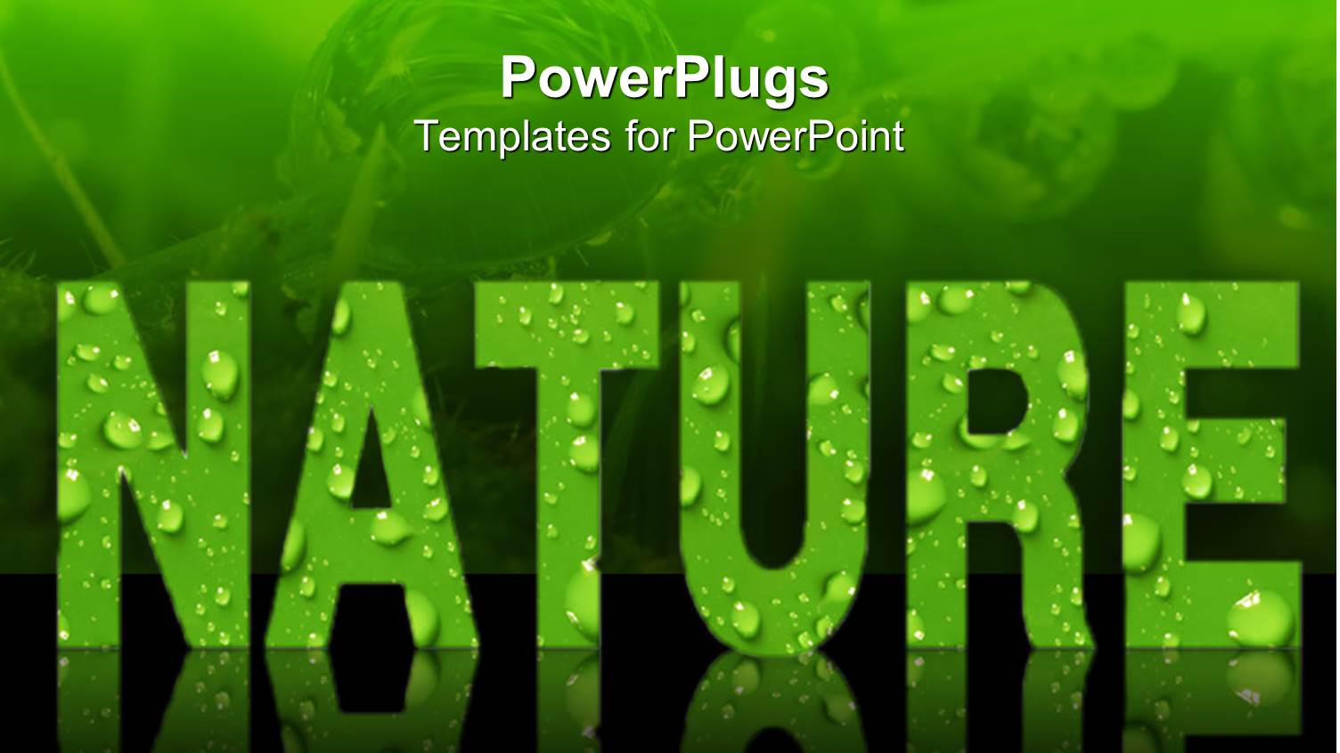 Word Nature in Green Letters Covered in Dew Drops, Ecology, Sustainable, Conservation