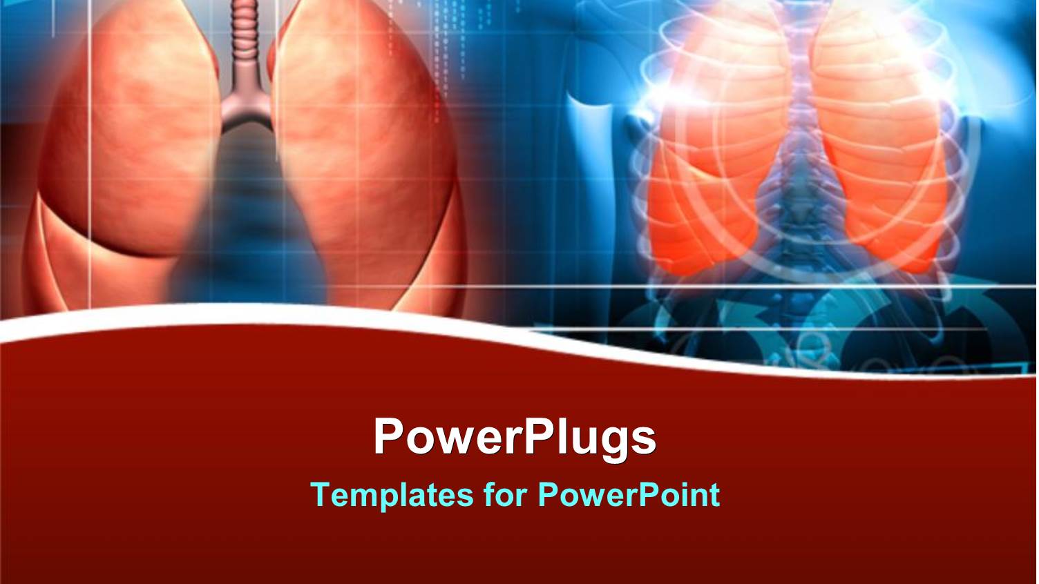 X-ray of Human Body Showing Ribs and Lungs