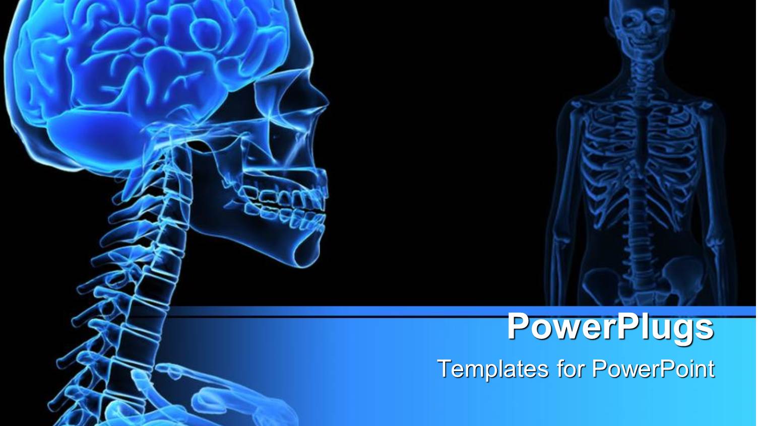 X-ray of the Human Head Showing on Black Background.