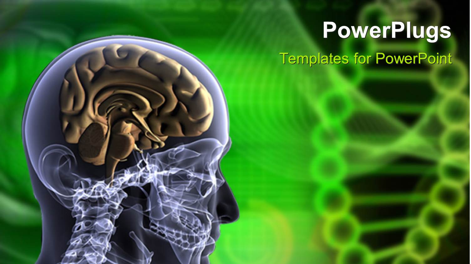 X-ray Scan of Human Head and Neck Showing Brain and Neck Bone 