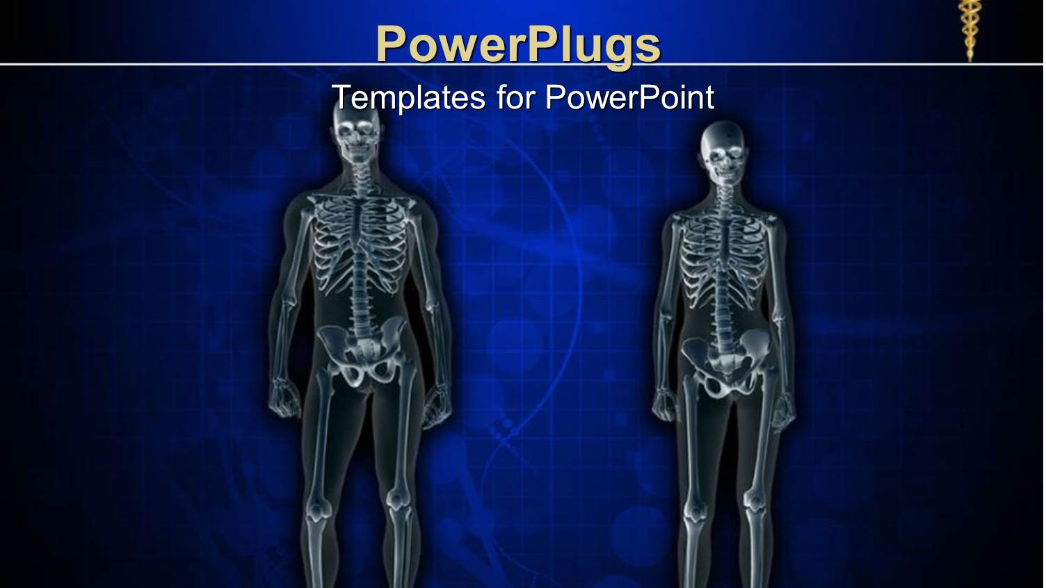 X-Rayed Anatomy of the Human Body for Female Body and Male Body with Medical Sign in the Top Corner on Dark Blue