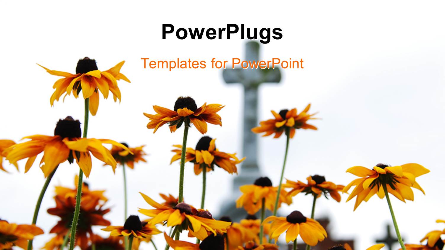 Yellow Flowers in Front of Stone Cross