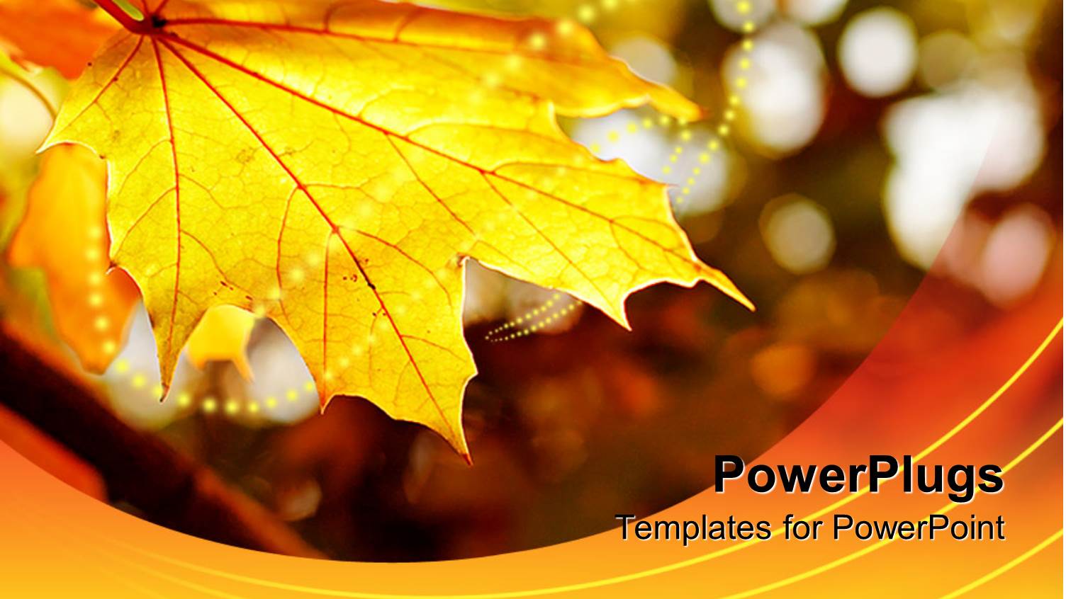 Yellow Maple Leaf with Autumn Colored Background and String of Yellow Lights