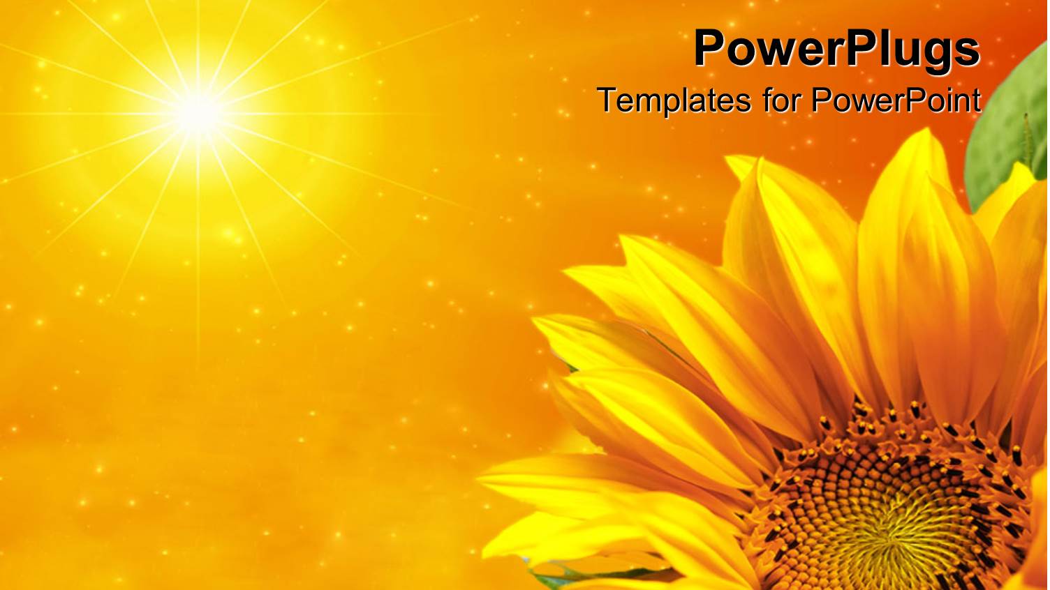 Yellow Sunflower with Green Leaves in Bottom Right Corner with Sun in Top Left Corner on Orange Background