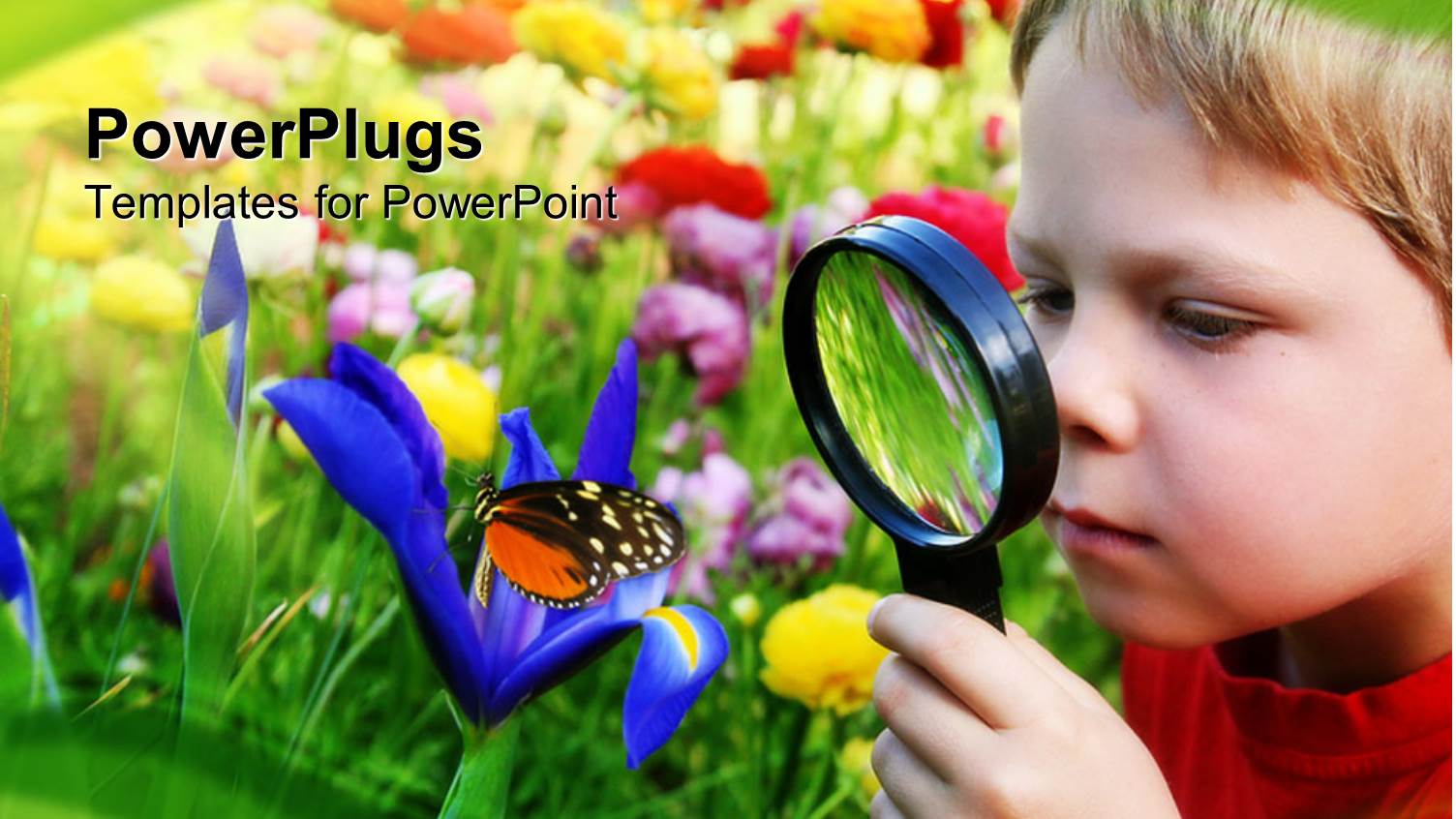 Young Boy Looking at Beautiful Flower Through Magnifying Glass